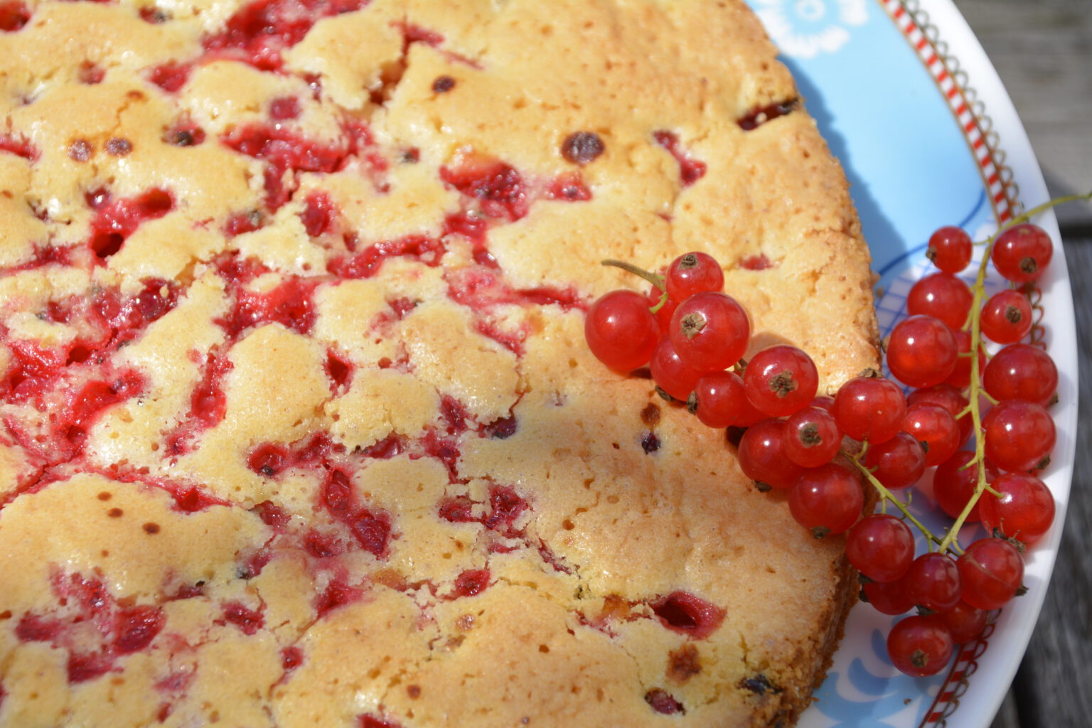 Johannisbeerkuchen - ganz schnell im Ofen und sehr köstlich - books and ...